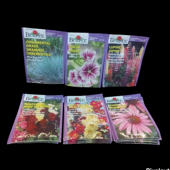 Flower Seeds Choose 10 for $20.00 - Picture 8 of 10